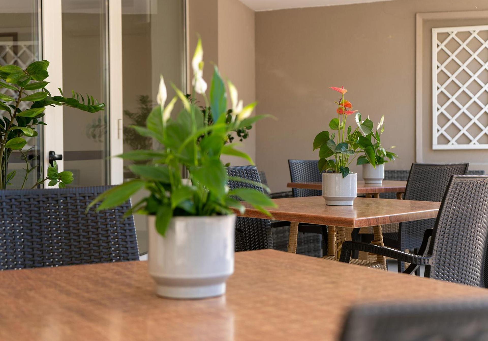 Hotel Carmen 리치오네 외부 사진